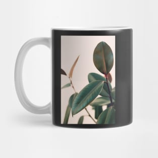 Ficus Elastica #5 Mug